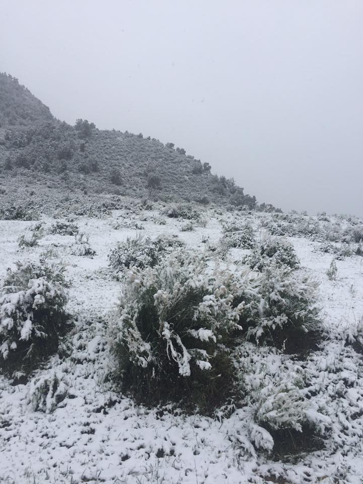 May 1719 Late Season Winter Storm Summary